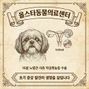 강서동물병원 | [강서구 동물병원] 자궁축농증 수술 후기
