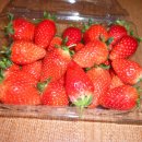 호민농장 이미지