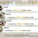 지금여기서행복하개 이미지