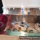 두산복마트