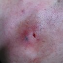 현대통통의원 이미지