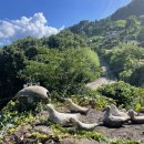 지리산노을 | [경남 함양 하늘바람정원] 지리산뷰 촌캉스 추천 부모님 대만족 가족독채숙소 후기(솥뚜껑 삼겹살⭕️)