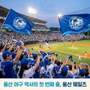 해원산업 | [울산에 야구팀이?] 울산 웨일즈, KBO 첫 시민구단이 ‘독종’처럼 야구하는 이유