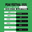 [2025 피크페스티벌] 2일차 후기♥️♥️(ft.로맨틱펀치,엔플라잉,십센치,권정열)