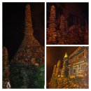 깊은샘블루베리농장 이미지