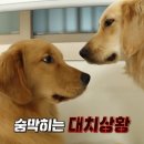 배식농장 이미지