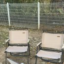 댕그리 | 🐾 김포 애견카페 댕그린 후기 | 자두랑 잔디마당 뛰놀다 온 하루 💚