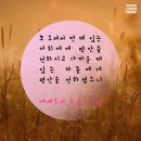 힐스테이트강릉아파트 이미지