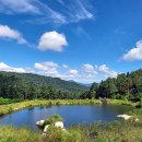 잣향기푸른마을 이미지