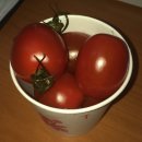 방실네국수 | 행운의 7(lucky!)월