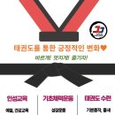 정진태권도장 이미지