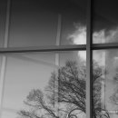 하늘에 열린 창-2 이미지