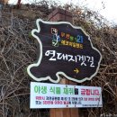 일주 태양광발전소 이미지