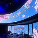 SKY공연홀 | 강서구청 스카이홀｜직장 내 장애인식개선 교육 후기｜한빛예술단 공연형 교육 ‘일 더하기 우리’