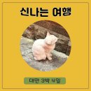 세븐일레븐금광점 | 하나투어 대만 패키지 3박 4일 청주공항 출발 2일차 하나투어한식당 예스지 몽골리안 BBQ 대만 4월 날씨