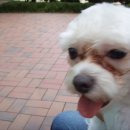 성원아파트 앞 이미지