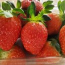 매지밀 딸기농장 이미지