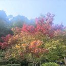 석병산 체험단지 갈마숲길 이미지