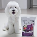 퍼플댕댕 이미지