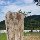 청솔수석박물관 이미지