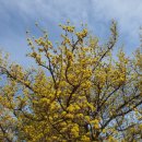 검단산 관광안내소 이미지