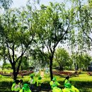 한신유치원 이미지