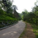 대관령 치유의 숲 이미지