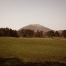 새삼목장 이미지