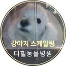 구포동물병원 이미지