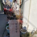 신평동377 네이버블로그