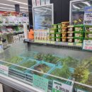 킹스마트 현곡점 이미지