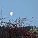 광양농원 이미지