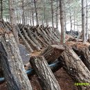 고실농장 이미지