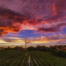 바람길목 이미지