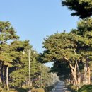 서구-01-140 | 드림파크 CC 라운드 후기(드림코스,11/01,맛집,시굴집)