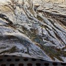 다온브레드 이미지