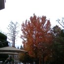 ＜과학의 심장인 수학과 수학의 심장인 기하학＞에 덧붙여 이미지