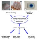 Re: 박테리아 EPS 주요 성분은 xanthan, Bacterial cellulose 2023년 이미지