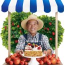 파리바게뜨영천 - 영천시 충효로 63 | 파리바게뜨영천
