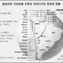 미운오리 한국일보