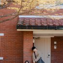 행운공원 | 서울 야외 스냅, 용산공원 미군기지 웨딩스냅 후기 소품 준비 팁