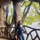 성류굴매표소앞 이미지