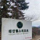 [충남/태안] 태안웰스리조트