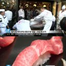 원참치 이미지