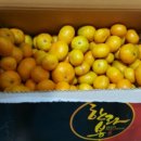 서준농장 이미지