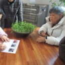 낙동연잎마을협동조합 이미지