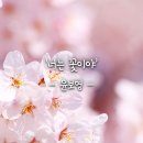 너는꽃
