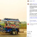 더민제이