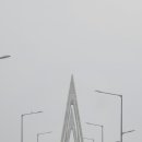 엉클스조개한판
