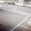 신호파출소 이미지